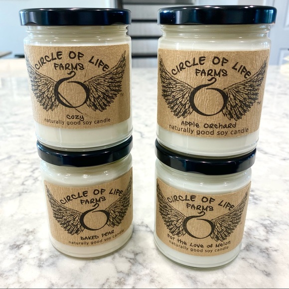 Set of 4 Fall Scented Natural Soy Candles